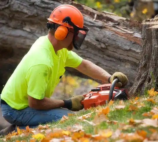 tree services Grant City